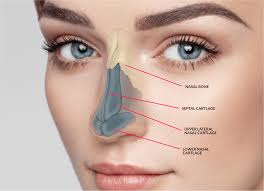 Nose Filler in Bindapur